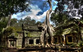 Taprohm2.jpeg